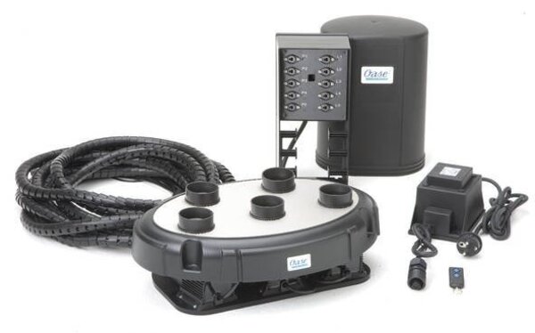 Oase Wasser Quintett