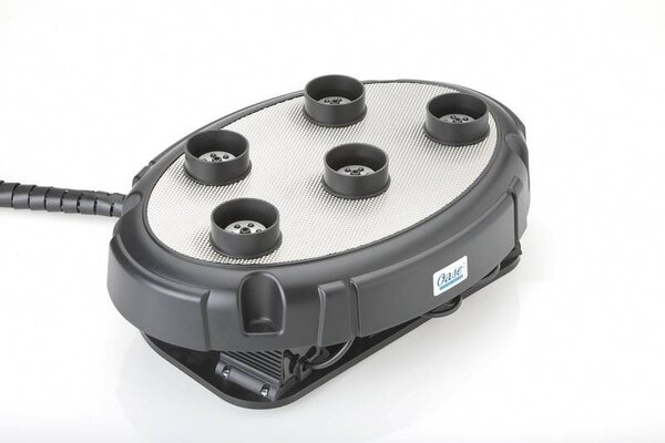 Oase Wasser Quintett