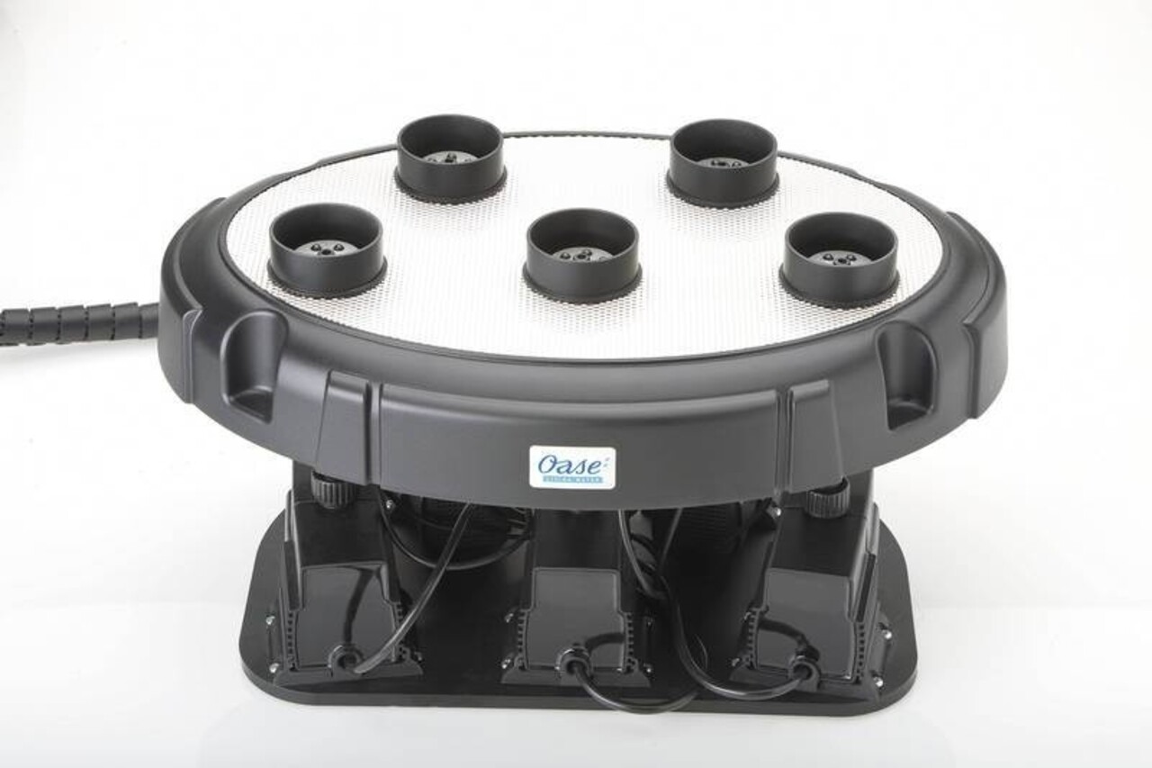 Oase Wasser Quintett