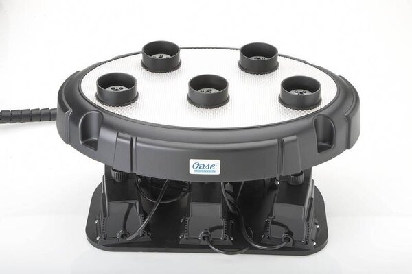 Oase Wasser Quintett