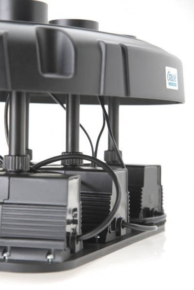 Oase Wasser Quintett