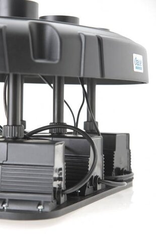 Oase Wasser Quintett