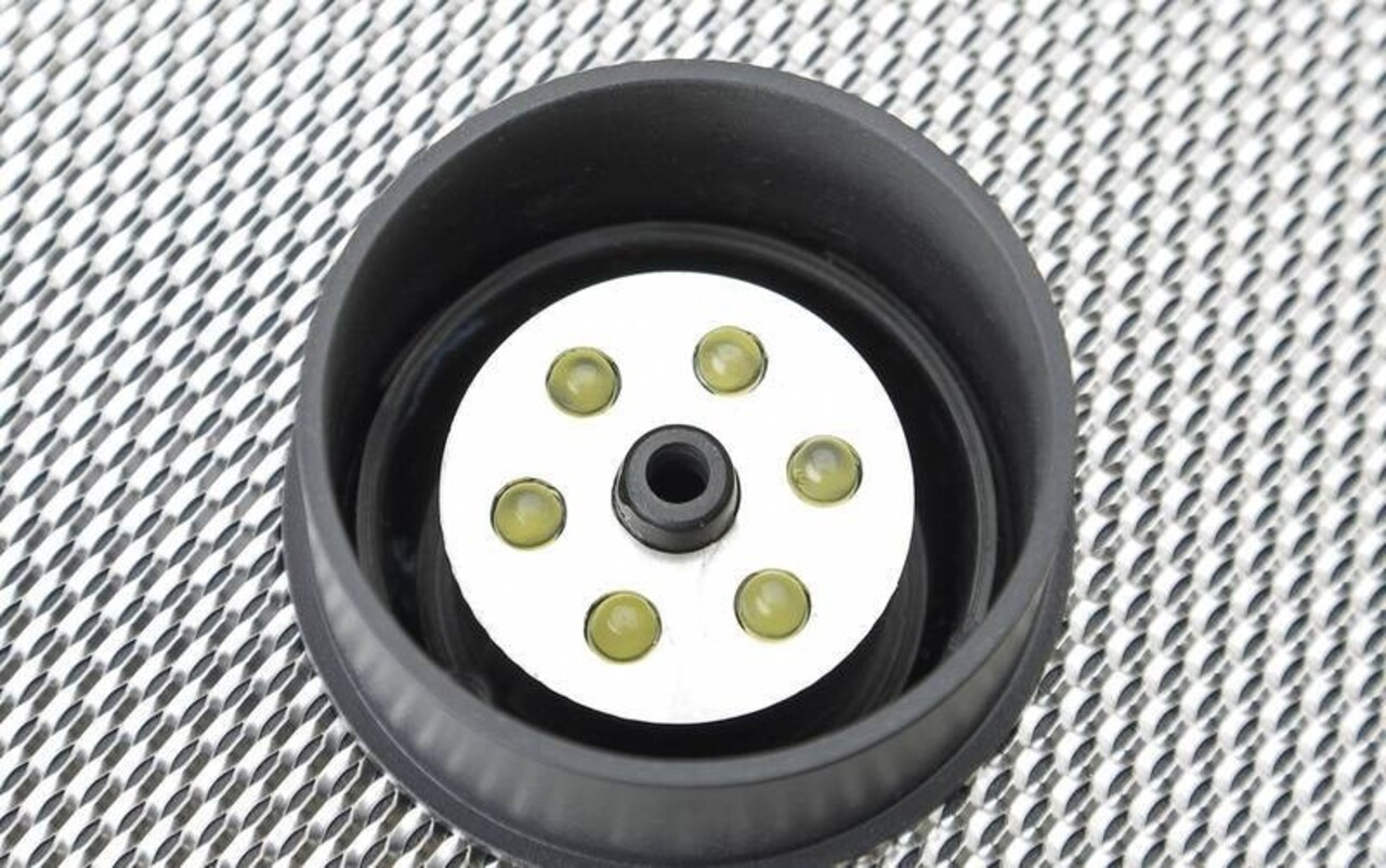 Oase Wasser Quintett