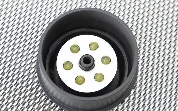 Oase Wasser Quintett