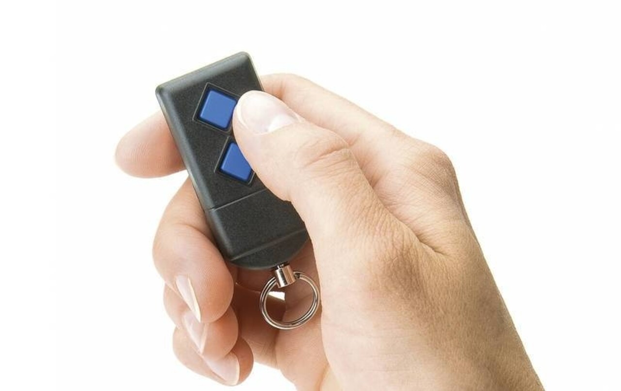 Oase Wasser Quintett