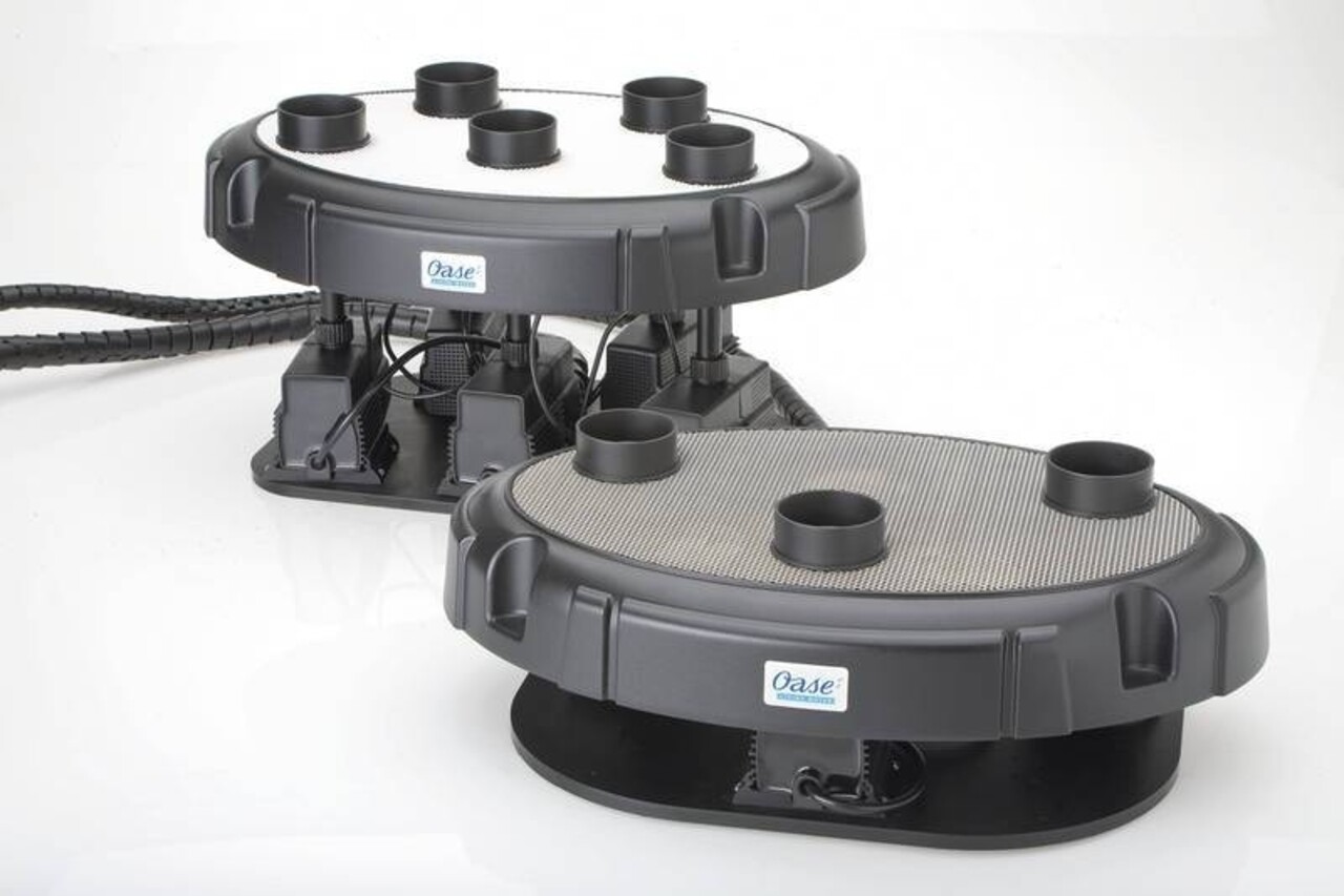 Oase Wasser Quintett