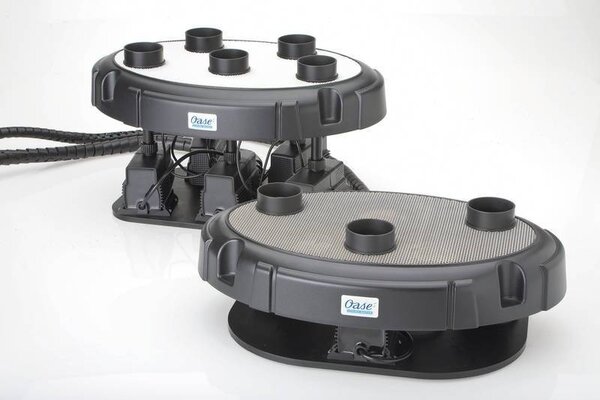 Oase Wasser Quintett