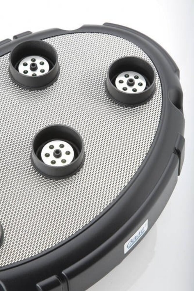 Oase Wasser Quintett