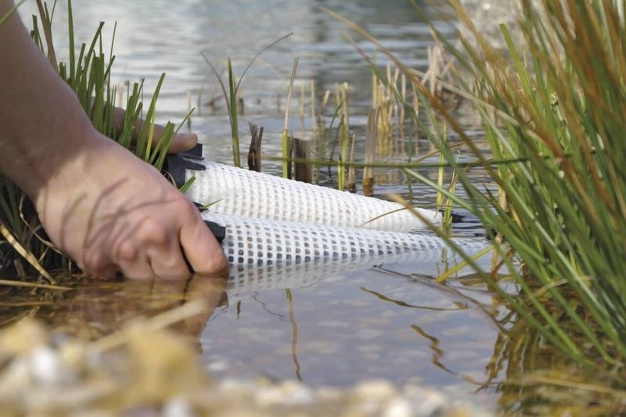 Oase AquaActiv PhosLess Algenprotect Oase AquaActiv PhosLess Algenprotect