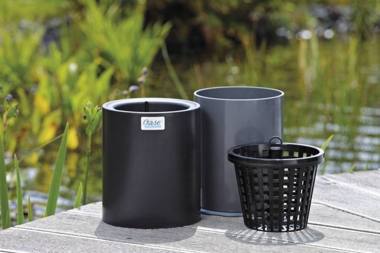 Oase AquaSkim Gravity Oberflächenabsauger Oase AquaSkim Gravity Oberflächenabsauger