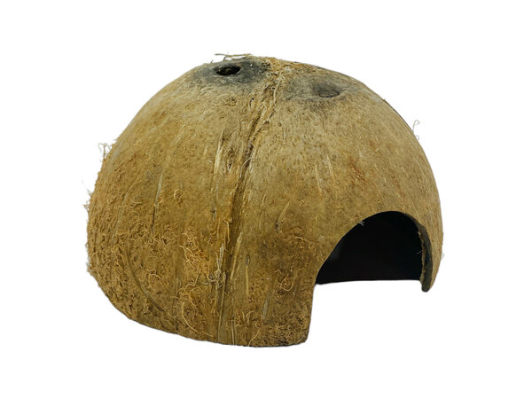 AquastoreXL Halbe Kokosnuss mit Öffnung Ø 12 cm