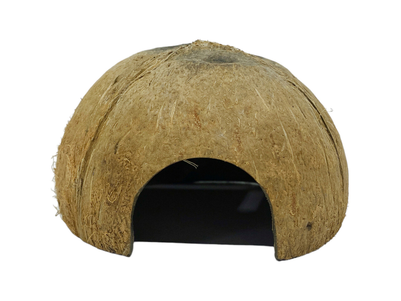 AquastoreXL Halbe Kokosnuss mit Öffnung Ø 12 cm