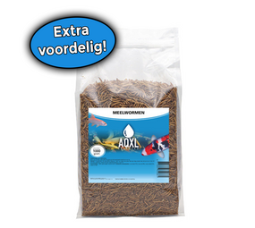 AQXL Ausgewählte Mehlwürmer Fischfutter L 1kg