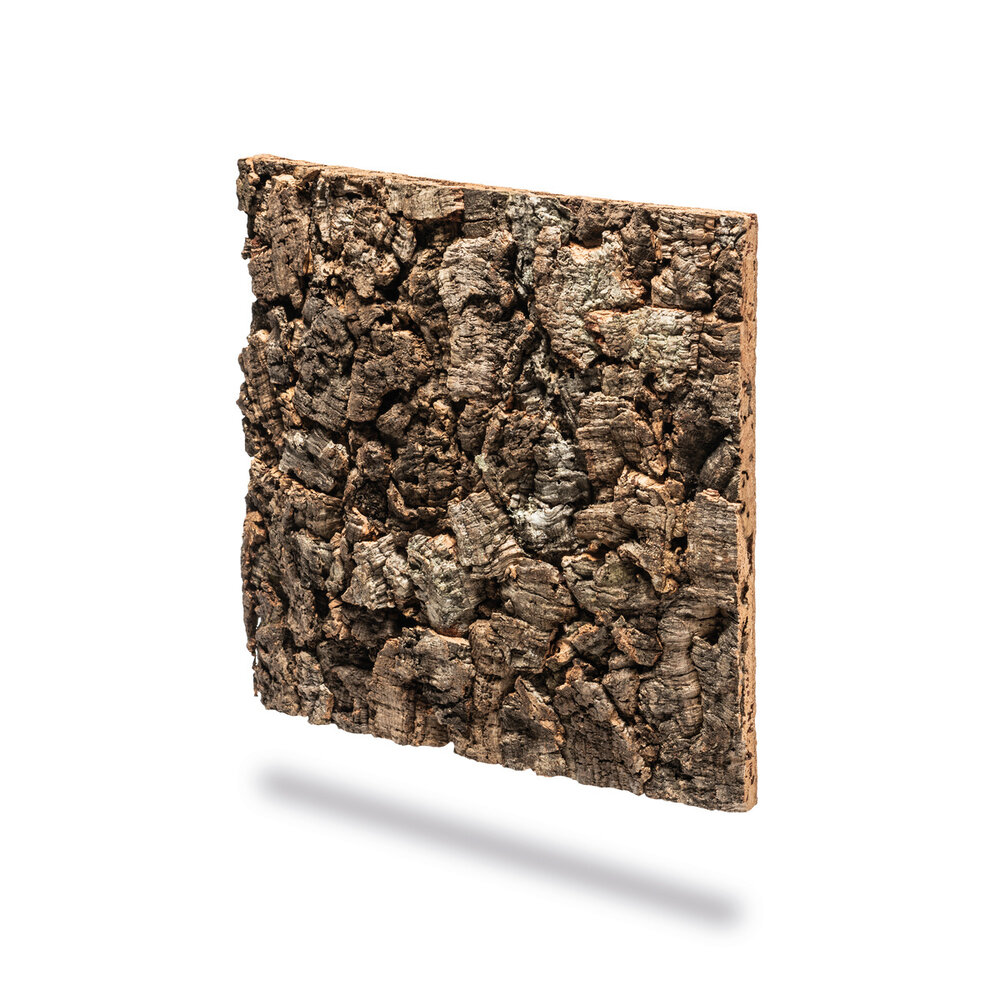 biOrb Rückwand Dunkleiche