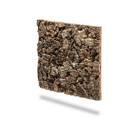 biOrb Rückwand Dunkleiche