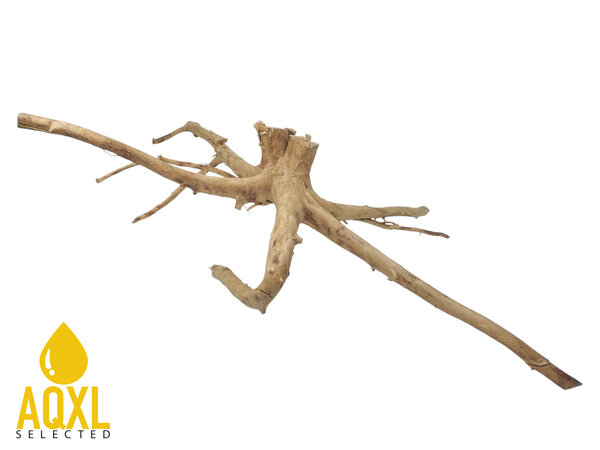 HS Aqua Spider Wood XXL HS Aqua Spider Wood XXL