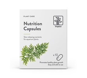 Wasserpflanze Nahrungskapseln 10 Stück Wasserpflanze Nahrungskapseln 10 Stück
