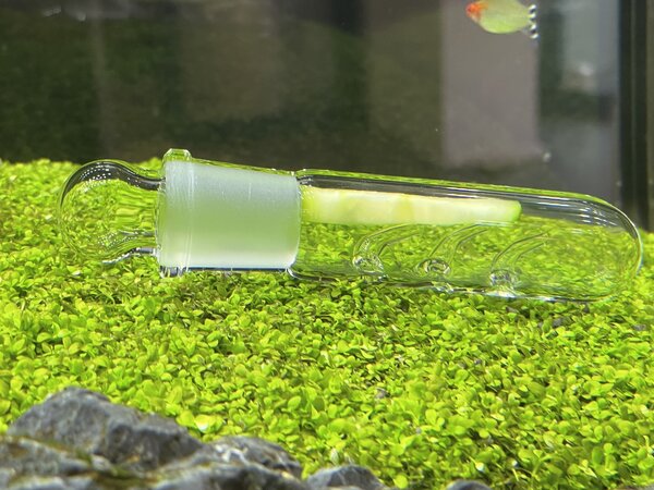 AquastoreXL Glas-Schneckenfalle