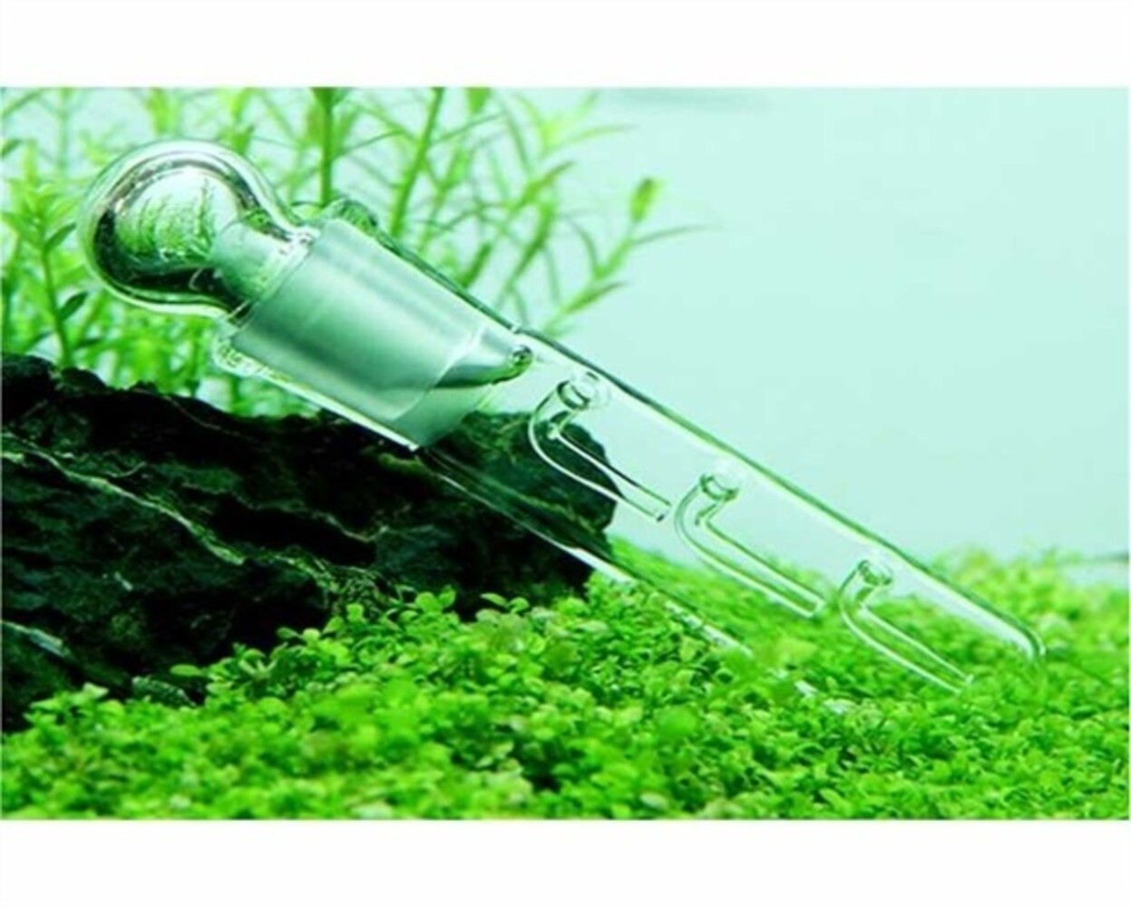 AquastoreXL Glas-Schneckenfalle