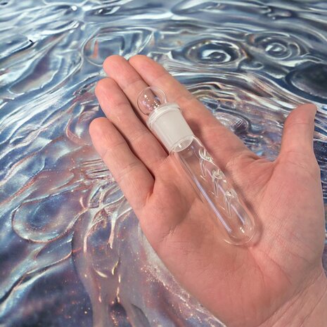 AquastoreXL Glas-Schneckenfalle