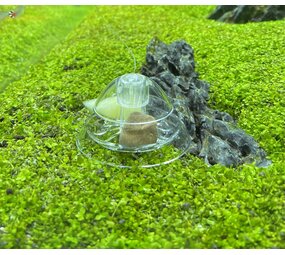 AquastoreXL Schneckenfänger Kunststoff AquastoreXL Schneckenfänger Kunststoff