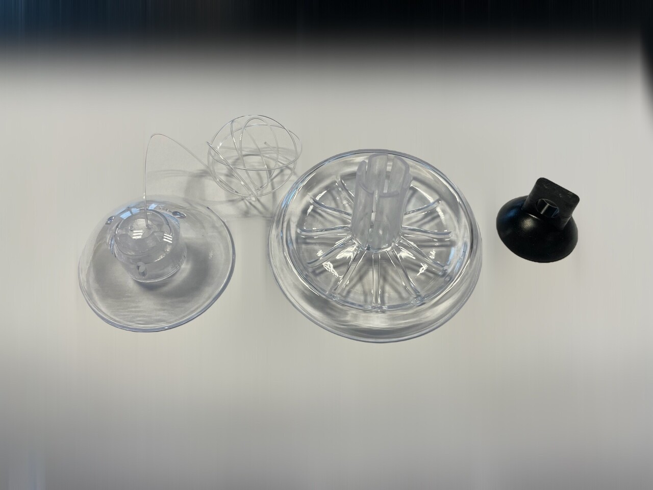 AquastoreXL Schneckenfänger Kunststoff