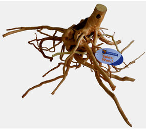 Superfish Spider Wood L