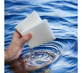 AquastoreXL Algenschwamm 2x