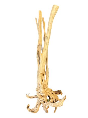 AquastoreXL Baumstumpf XXL 60 - 90 cm 3kg - NR13 AquastoreXL Baumstumpf XXL 60 - 90 cm 3kg - NR13