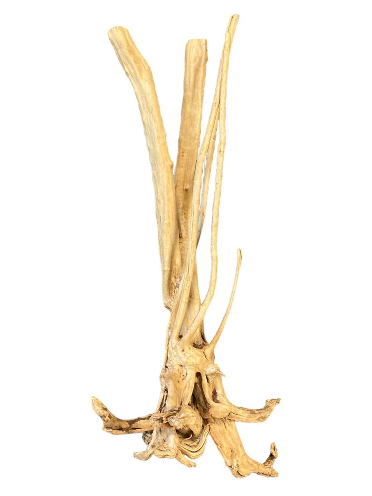 AquastoreXL Baumstumpf XXL 60 - 90 cm 3kg - NR13 AquastoreXL Baumstumpf XXL 60 - 90 cm 3kg - NR13