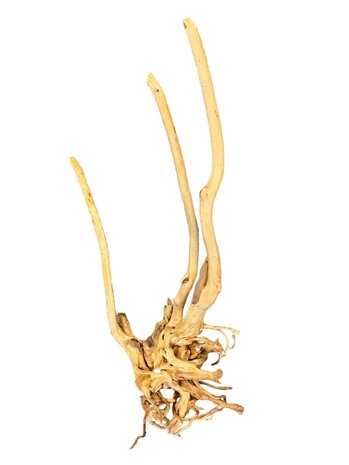 AquastoreXL Baumstumpf XXL 60 - 90 cm 1,5kg - NR11