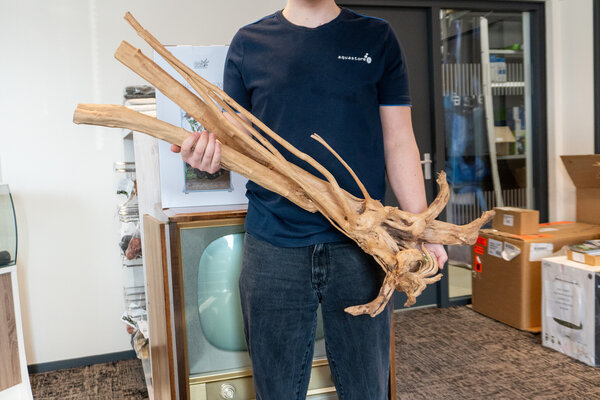 AquastoreXL Baumstumpf XXL 60 - 90 cm 3kg - NR13 AquastoreXL Baumstumpf XXL 60 - 90 cm 3kg - NR13