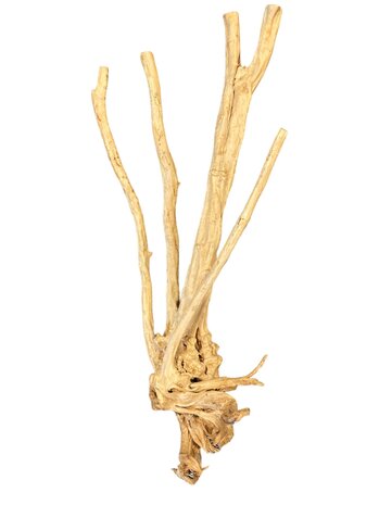 AquastoreXL Baumstamm XXL 70 - 100 cm 2,8kg - NR10