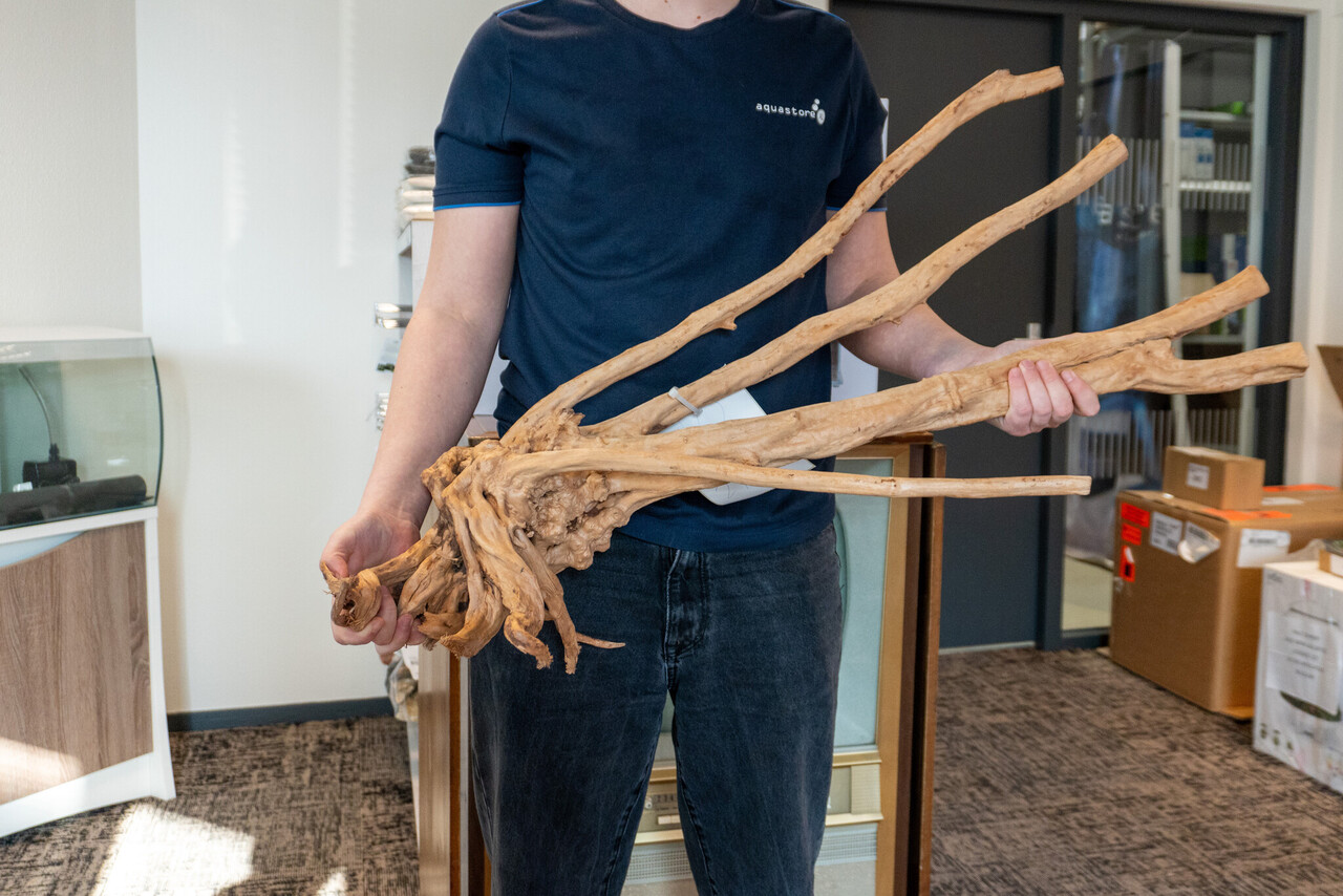 AquastoreXL Baumstamm XXL 70 - 100 cm 2,8kg - NR10