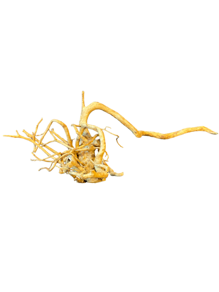 AquastoreXL Baumstamm XXL 70 - 100 cm 2kg - NR9