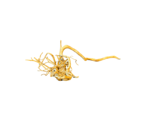 AquastoreXL Baumstamm XXL 70 - 100 cm 2kg - NR9 AquastoreXL Baumstamm XXL 70 - 100 cm 2kg - NR9