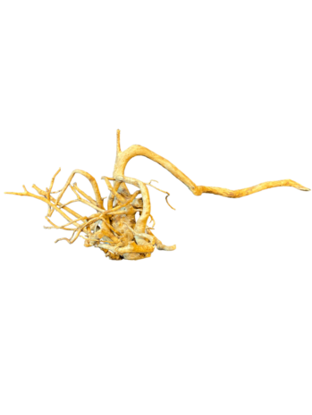 AquastoreXL Baumstamm XXL 70 - 100 cm 2kg - NR9