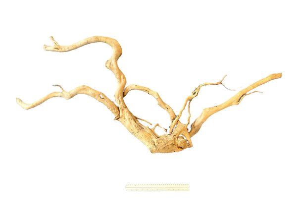 AquastoreXL Baumstumpf XXL 60 - 120 cm 3,45kg - NR7 AquastoreXL Baumstumpf XXL 60 - 120 cm 3,45kg - NR7