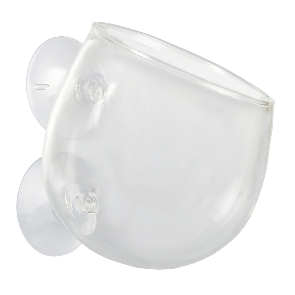 Chihiros Glas Pflanzen Bowl Mini