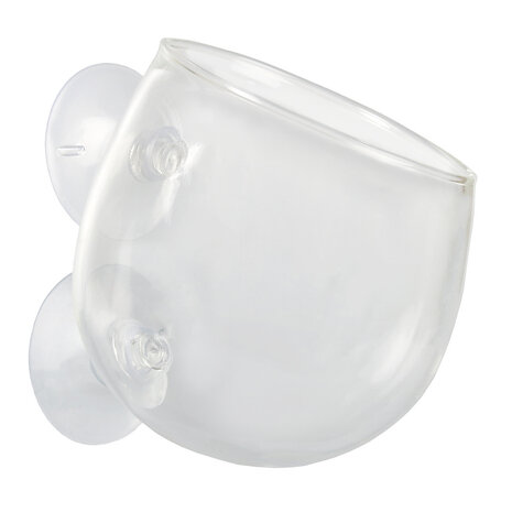 Chihiros Glas Pflanzen Bowl Mini