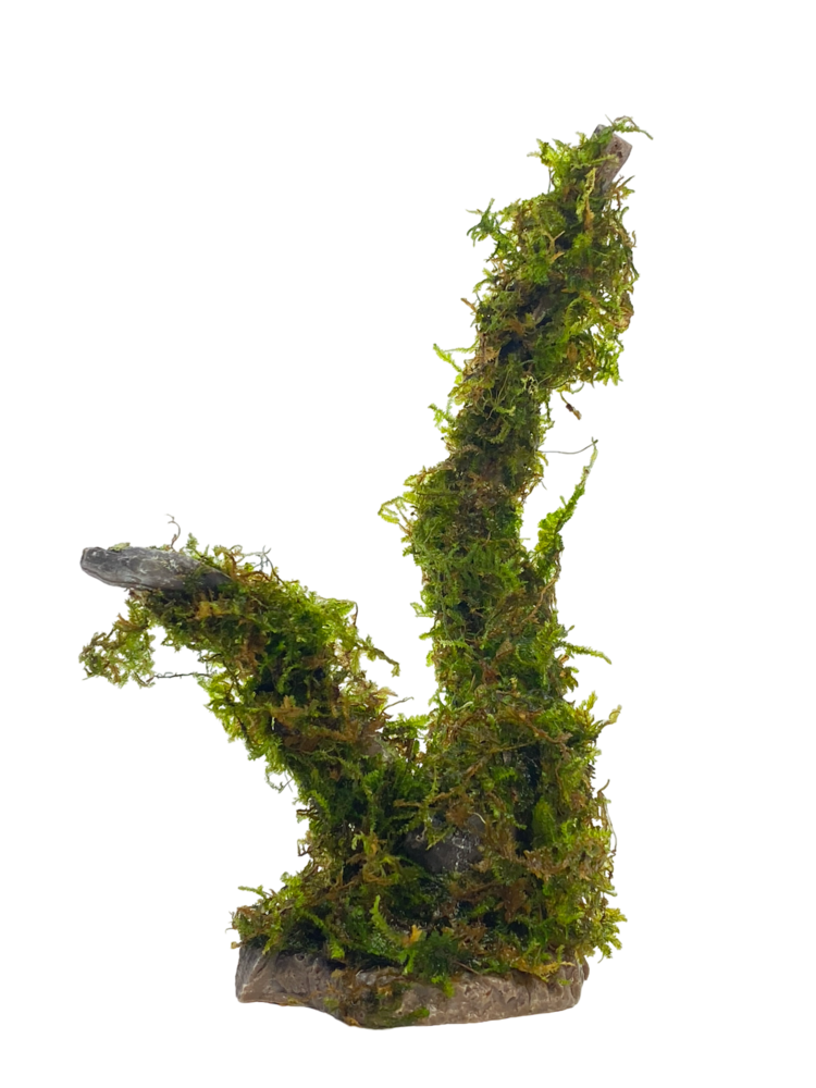 AQXL Kunststoffbaum mit Bepflanzung AQXL Kunststoffbaum mit Bepflanzung