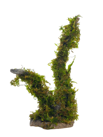 AQXL Kunststoffbaum mit Bepflanzung AQXL Kunststoffbaum mit Bepflanzung