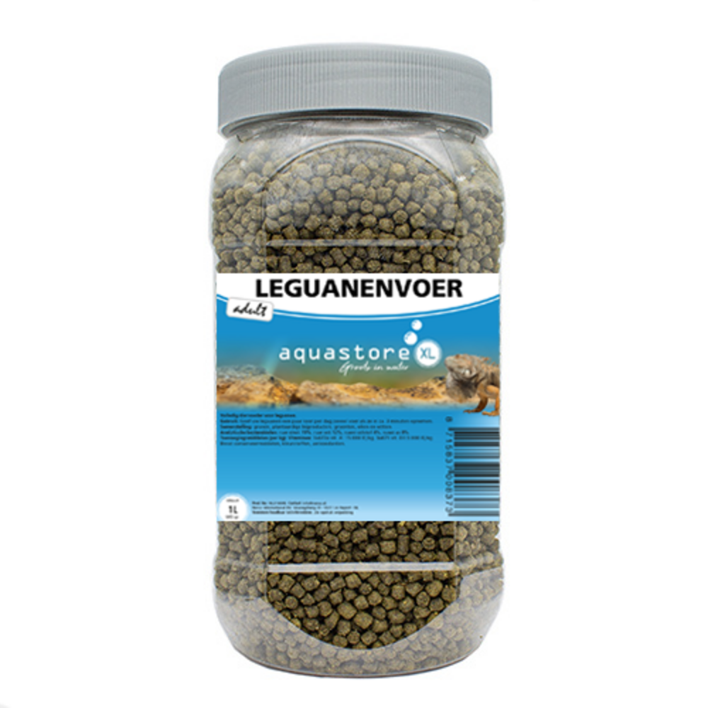 AquastoreXL Leguane ausgewachsenes Tier 1000ml