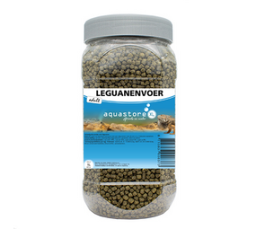 AquastoreXL Leguane ausgewachsenes Tier 1000ml