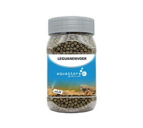 AquastoreXL Leguane ausgewachsenes Tier 330ml
