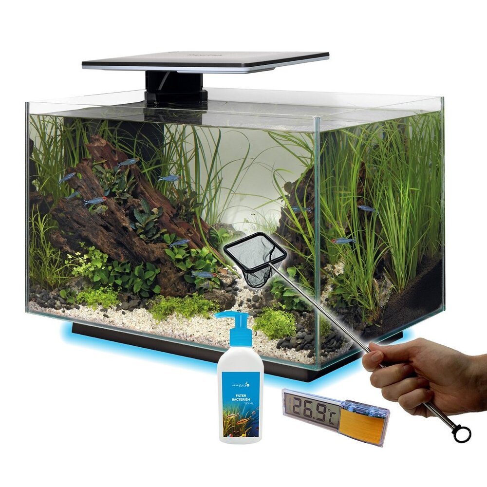 Superfish Quadro 40 Multi Colour Schwarz Vorteilspaket