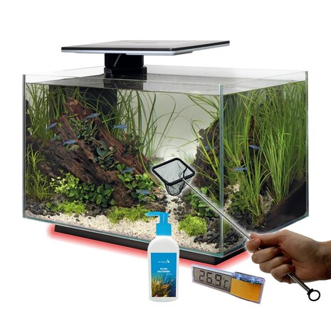 Superfish Quadro 40 Multi Colour Weiß Vorteilspaket