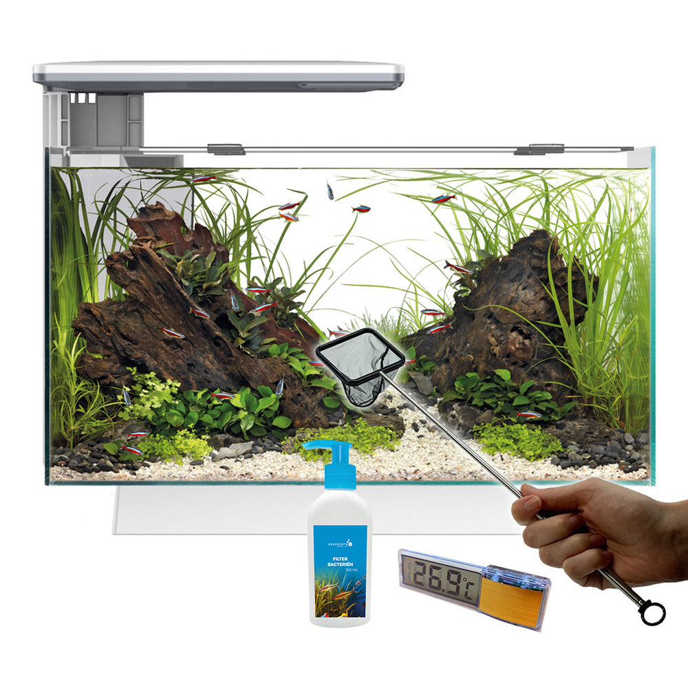 Superfish Quadro 40 Pro Weiß Vorteilspaket