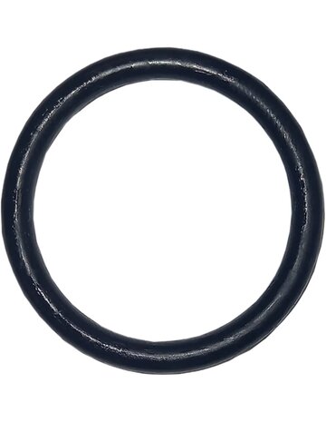 Oase O-Ring Viton 32 x 4 SH70 gefettet