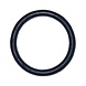 Oase O-Ring Viton 32 x 4 SH70 gefettet